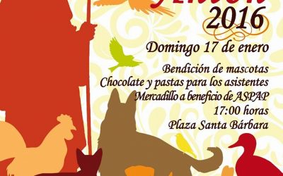 SAN ANTÓN. PLAZA SANTA BÁRBARA. DOMINGO 17 DE ENERO