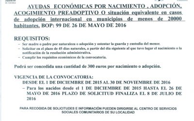 AYUDAS ECONÓMICAS POR NACIMIENTO, ADOPCIÓN, ACOGIMIENTO PREADOPTIVO O SITUACIÓN EQUIVALENTE EN CASOS DE ADOPCIÓN INTERNACIONAL.