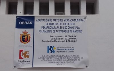 CONVENIO ENTRE EL INSTITUTO PROVINCIAL DE BIENESTAR SOCIAL DE CÓRDOBA Y EL AYUNTAMIENTO DE PEÑARROYA-PUEBLONUEVO AÑO 2015