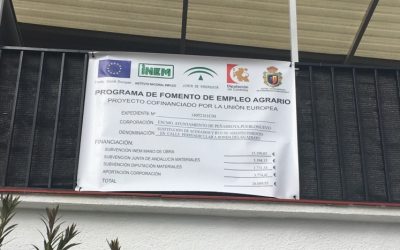 PROGRAMA DE FOMENTO DE EMPLEO AGRARIO 2016