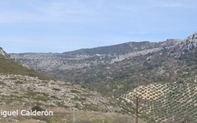 20 ANIVERSARIO DEL MUSEO GEOLÓGICO-MINERO.