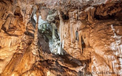 EL MUSEO GEOLÓGICO-MINERO CELEBRA “EL DÍA INTERNACIONAL DE LOS MUSEOS”