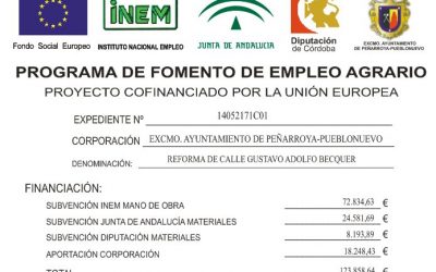 PROGRAMA DE FOMENTO DE EMPLEO AGRARIO 2017