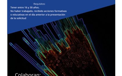 CURSO INSTALADOR FIBRA ÓPTICA