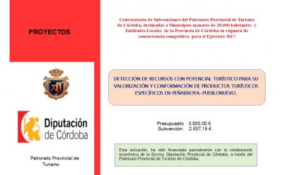 Convocatoria de Subvenciones del Patronato Provincial de Turismo de Córdoba. AÑO 2017