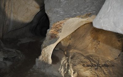 EL MUSEO GEOLÓGICO-MINERO CELEBRA “EL DÍA INTERNACIONAL DE LOS MUSEOS”