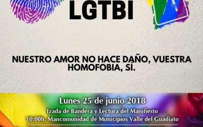 DÍA INTERNACIONAL DEL ORGULLO LGTBI