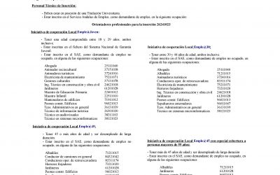 MODIFICACIÓN DE REQUISITOS PARA LA CONTRATACIÓN DEL PERSONAL TÉCNICO DE INSERCIÓN DE LA INICIATIVA DE COOPERACIÓN LOCAL