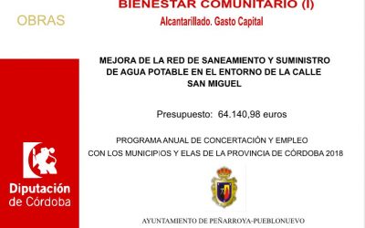 PROGRAMA ANUAL DE CONCERTACIÓN Y EMPLEO 2018 PCE18.03.0004