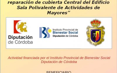 Convocatoria de Subvenciones a Municipios y Entidades Locales para proyectos de servicios sociales, obras de reforma y equipamientos municipales destinados a servicios sociales, ejercicio 2018