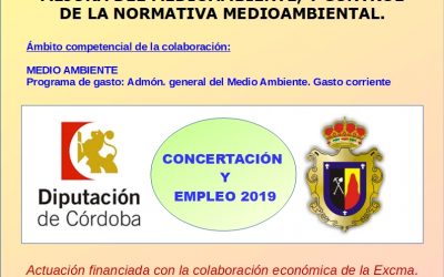 PROGRAMA ANUAL DE CONCERTACIÓN Y EMPLEO 2019 PCE19.05.0028