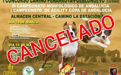 #CANCELADO# Campeonato Canino