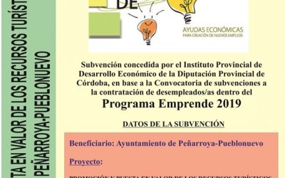 PROGRAMA EMPRENDE 2019