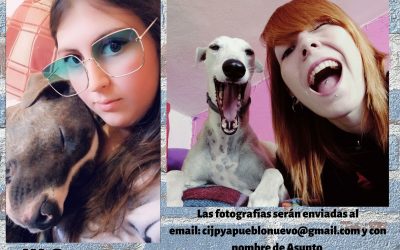 l III Concurso “Hazte unSelfie con tu mascota”