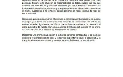 Datos Actualizados Covid-19 Peñarroya-Pueblonuevo 17 Enero 2021