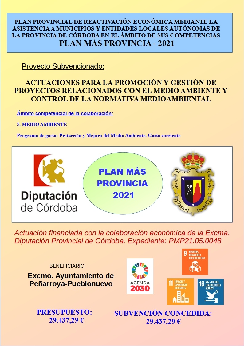 PLAN MÁS PROVINCIA – 2021