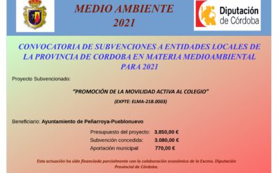 PROMOCIÓN DE LA MOVILIDAD ACTIVA AL COLEGIO