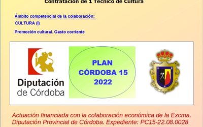 PLAN CÓRDOBA 15 – (Ejercicio 2022)