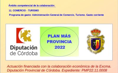 PLAN MÁS PROVINCIA – 2022