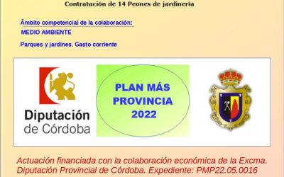 PLAN MÁS PROVINCIA – 2022