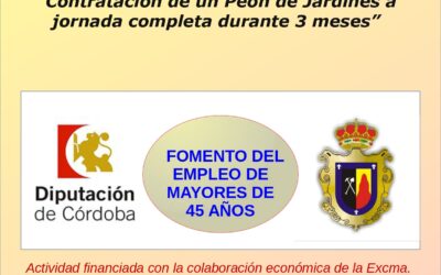 FOMENTO DEL EMPLEO DE MAYORES DE 45 AÑOS